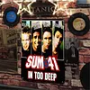 The Sum 41 Band - Vintage Metal Signs(8*12Inch)