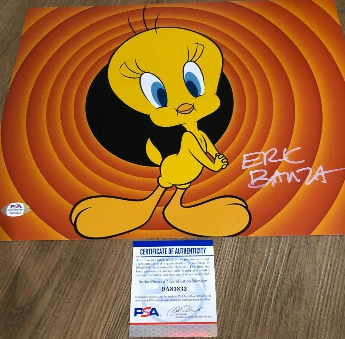 Eric Bauza Looney Tunes Tweety Bird Signed Autographed 11x14 Photo Poster painting PSA B