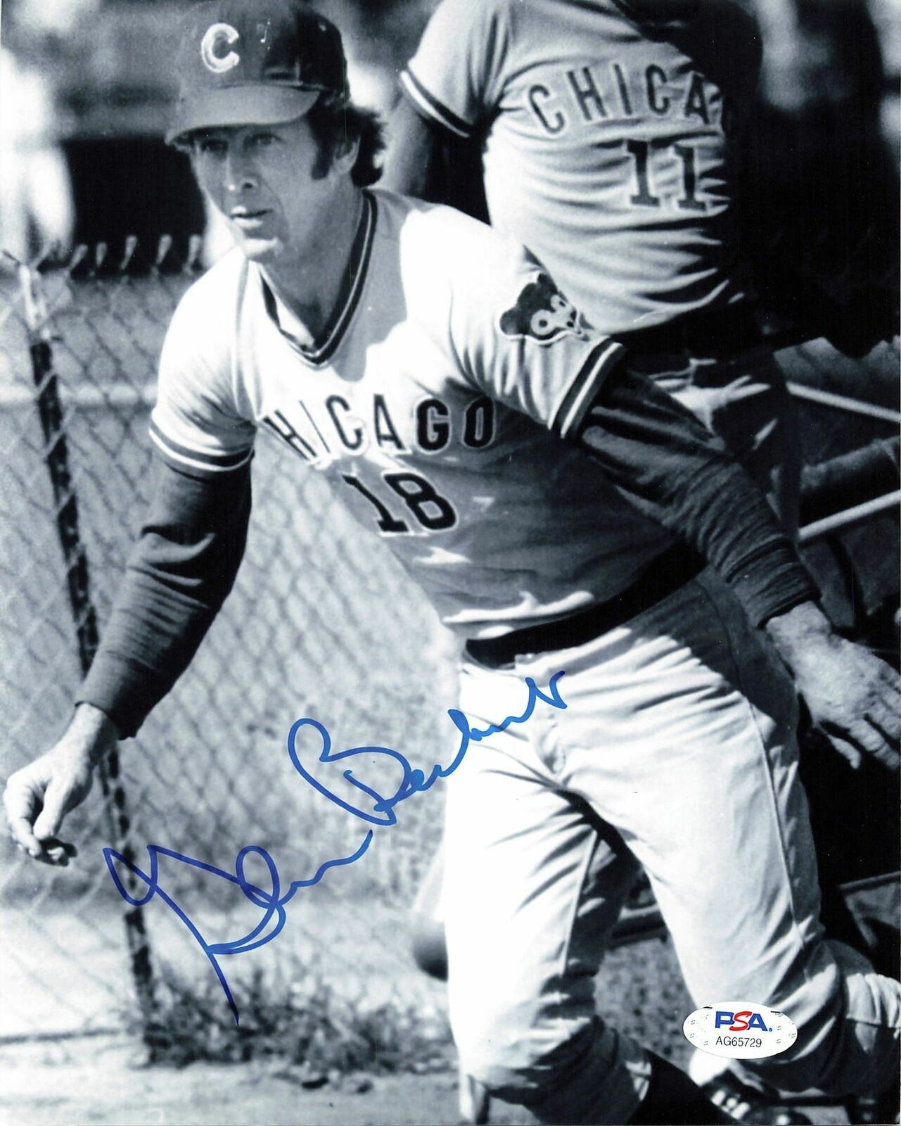 Glenn Beckert Jr signed 8x10 Photo Poster painting PSA/DNA Chicago Cubs Autographed