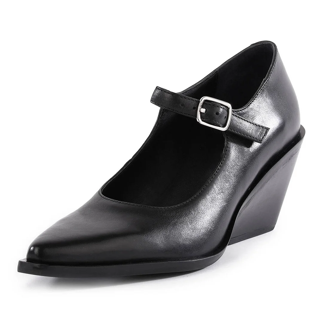 Black Chunky Heel Buckle Pointed Toe Formal Mary Jane Shoes