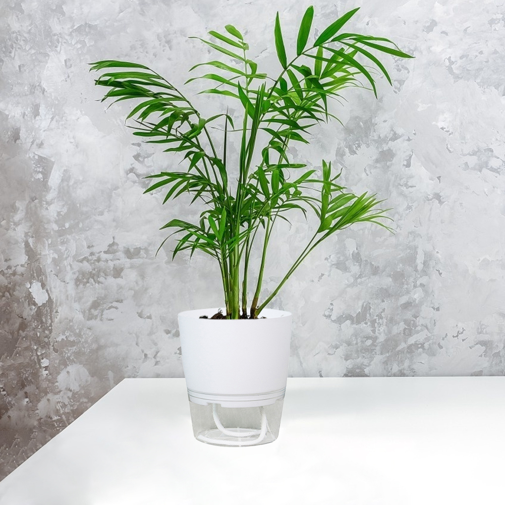 

Lazy Automatic Absorbing Flower Pot Self Watering Planter Hydroponic Potted, Green, 501 Original