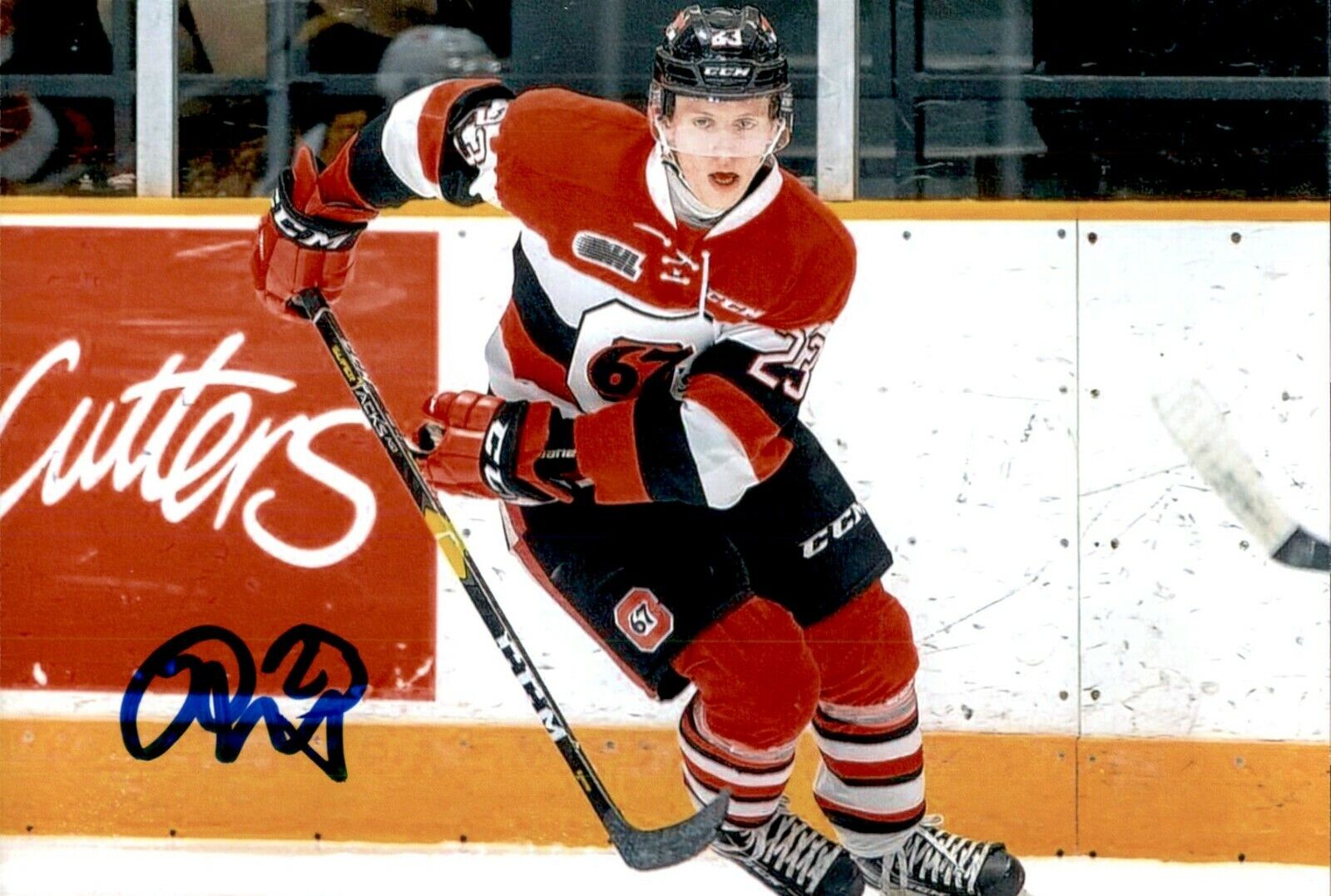 Marco Rossi SIGNED autographed 4x6 Photo Poster painting OTTAWA 67'S / MINNESOTA WILD #2