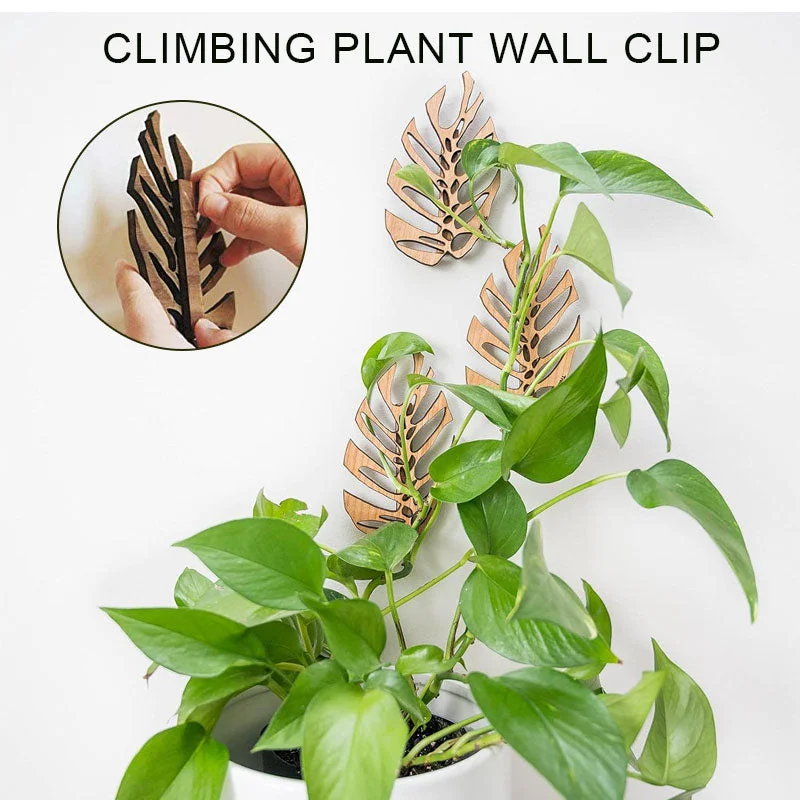 Climbing Plant Wall Clip