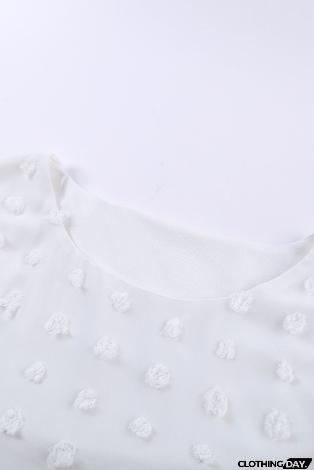 Chic White Swiss Dot Texture Round Neck Short Sleeve Top