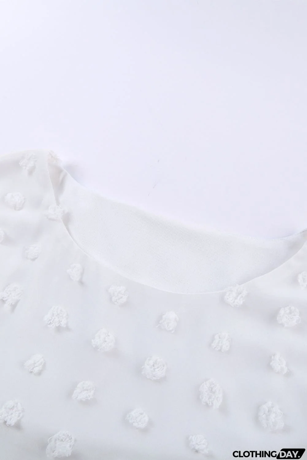 Chic White Swiss Dot Texture Round Neck Short Sleeve Top