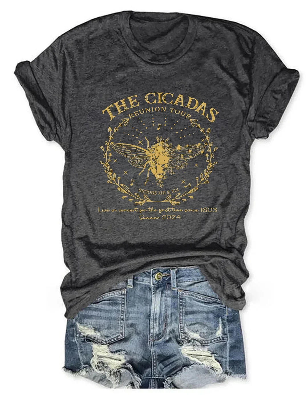 The Cicadas Reunion Tour 2024 T-shirt