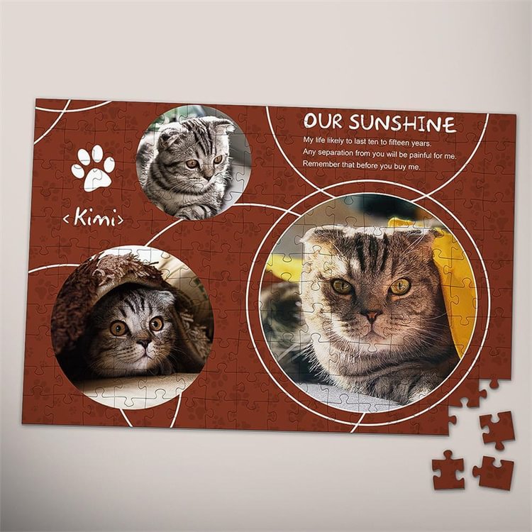 Custom Photo Puzzle You Are Our Sunshine 35/300/500/1000 Pieces
