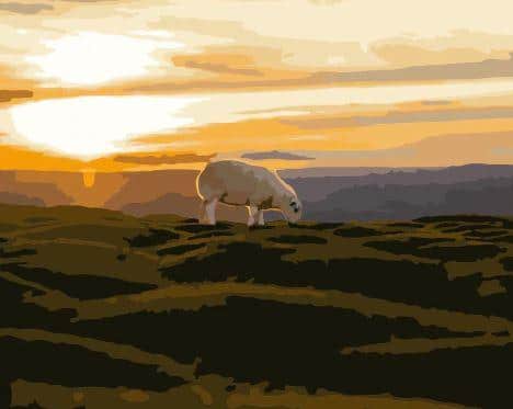 

Sunrise on Sheep – Paint By Numbers - 40*50CM, 501 Original