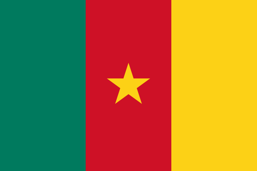Maxi Kit &ndash; Cameroun- Maxi Kit