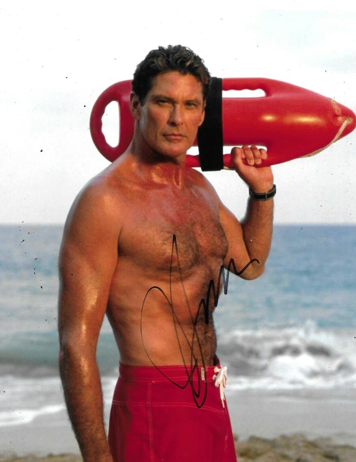 David Hasselhoff Signed Baywatch 10x8 Photo Poster painting AFTAL