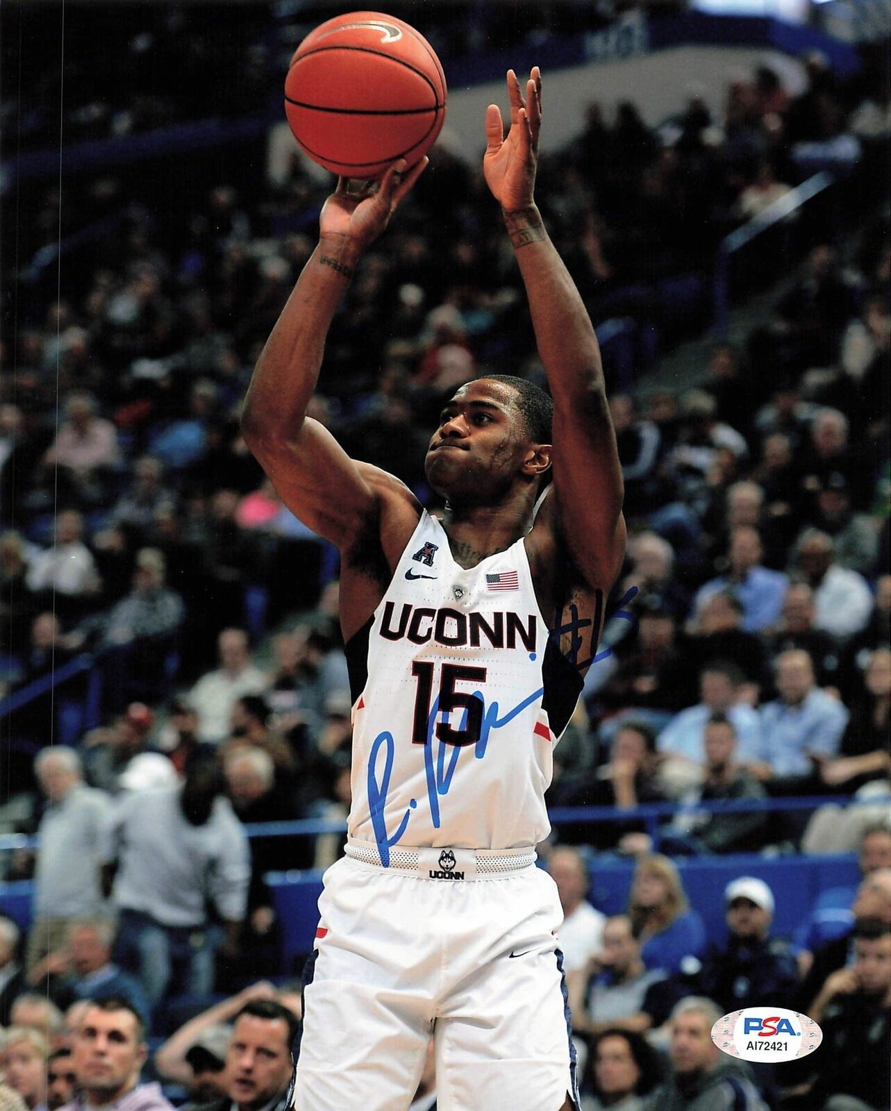 Rodney Purvis signed 8x10 Photo Poster painting PSA/DNA UConn Autographed