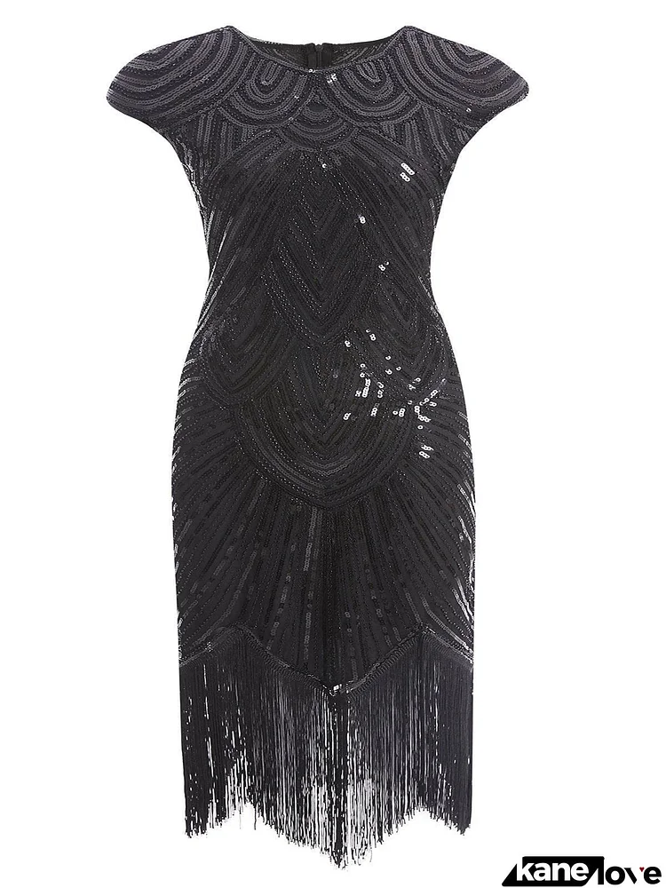 Plus Size 1920s Sequin Dress