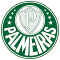 Maxi Kit &ndash; Palmeiras- Maxi Kit