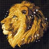 Lion - 9CT Partial Beaded Cross Stitch Kit(45x47cm)