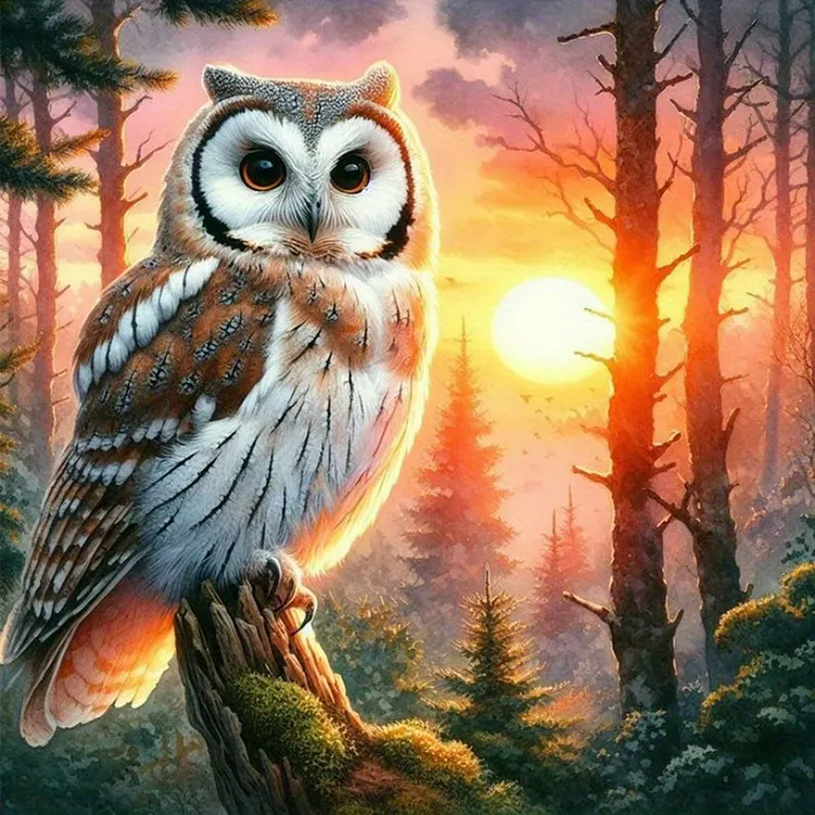 【Huacan Brand】Forest Owl Sunset 40*40cm 11CT Stamped Canvas Cross Stitch gbfke