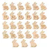 27Pcs Easter Egg Tokens DIY Easter Egg Filler Wooden Party Prize Coins (Bunny)