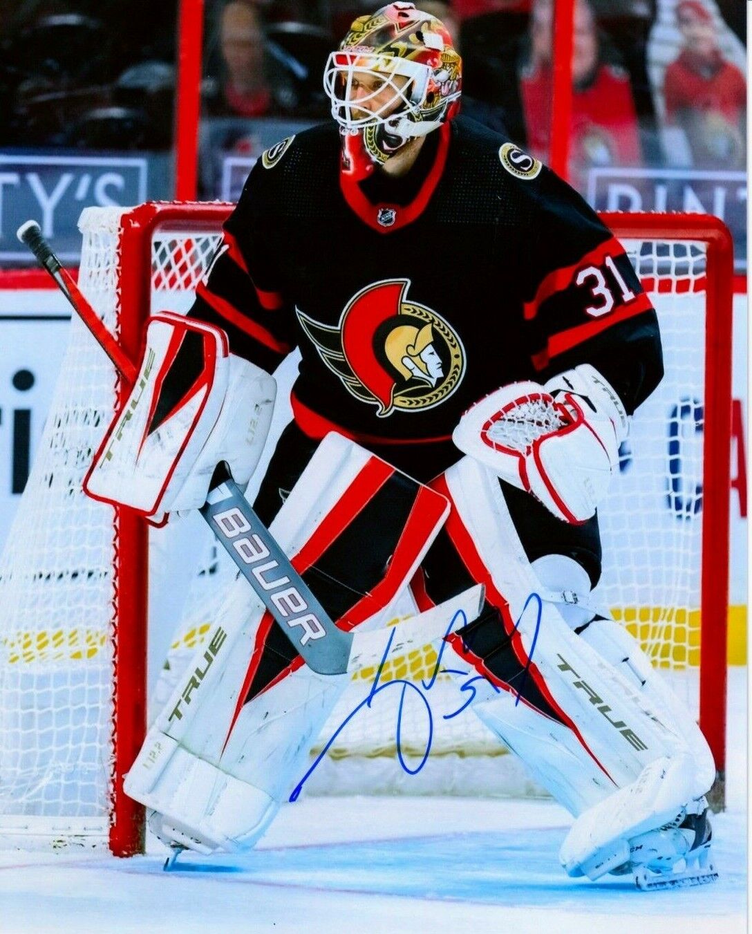 ANTON FORSBERG autographed SIGNED OTTAWA SENATORS 8X10 Photo Poster painting