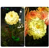 Solar Garden Decorative Light LED Rose Shape Stake Light for Garden Yard Backyard Waterproof