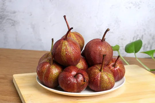 Pyrus pyrifolia 'Nijisseiki'🌈Rainbow Pear Seeds