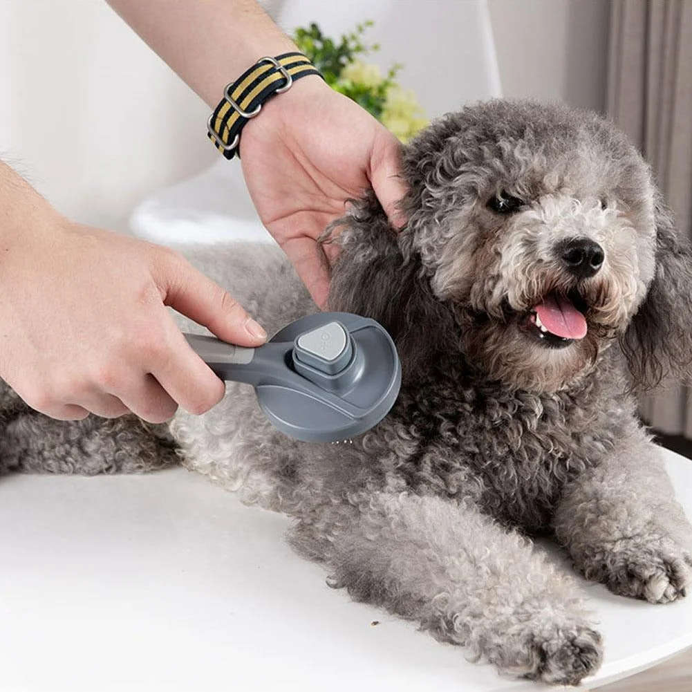 Self-Cleaning Comb