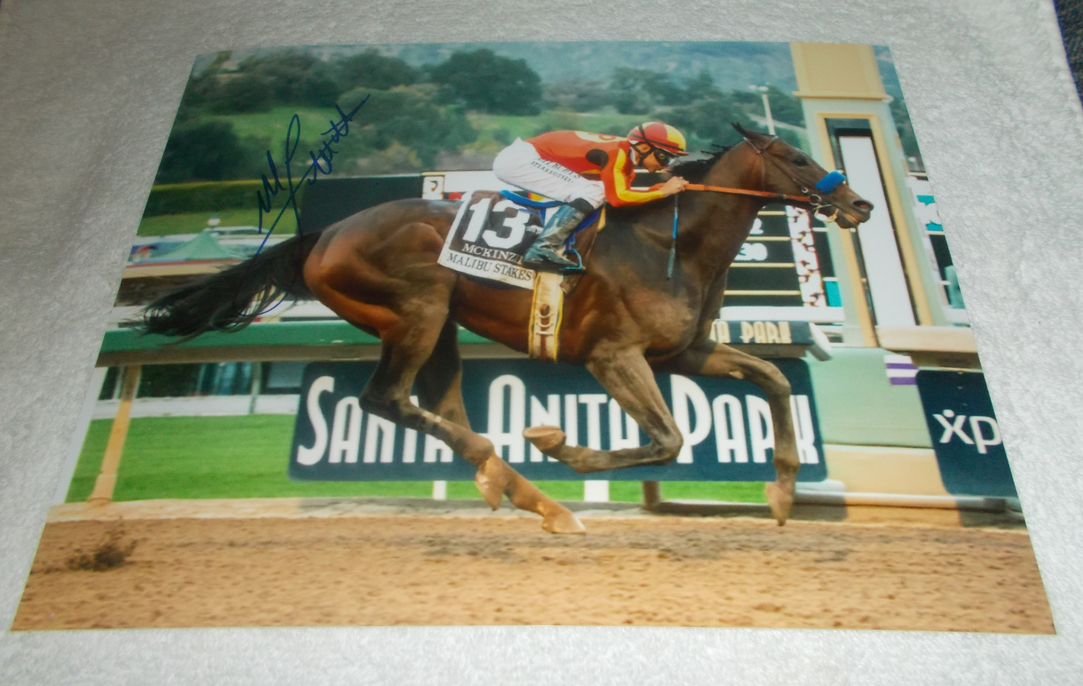 MIKE SMITH McKINZIE MALIBU STAKES SIGNED AUTOGRAPHED 8x10 HORSE RACING Photo Poster painting