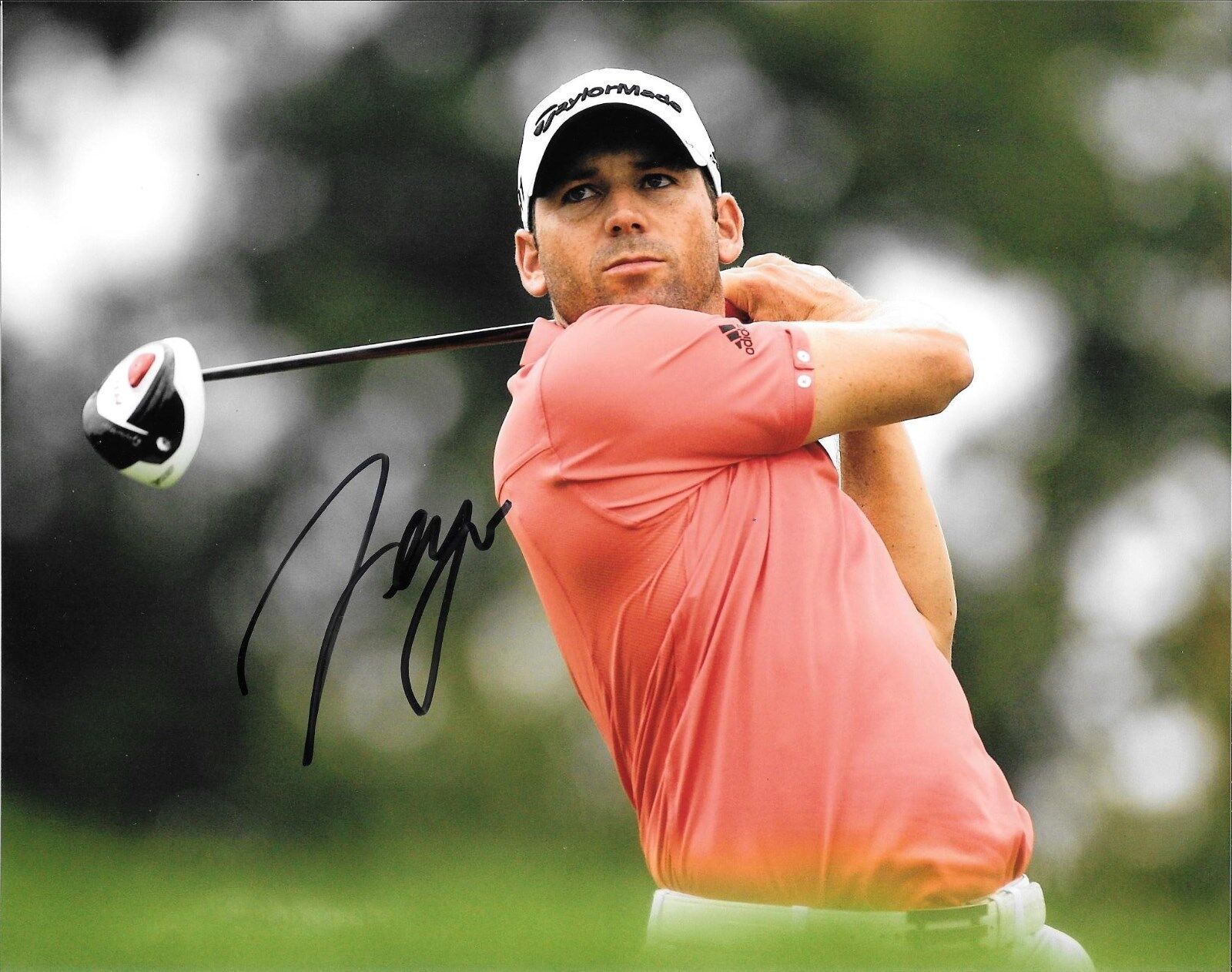 2017 MASTERS WINNER SERGIO GARCIA HAND SIGNED PGA GOLF 8X10 Photo Poster painting W/COA