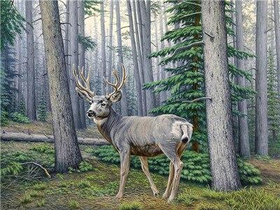 

Misty Woods – Deer – Paint By Numbers - 40*50CM, 501 Original