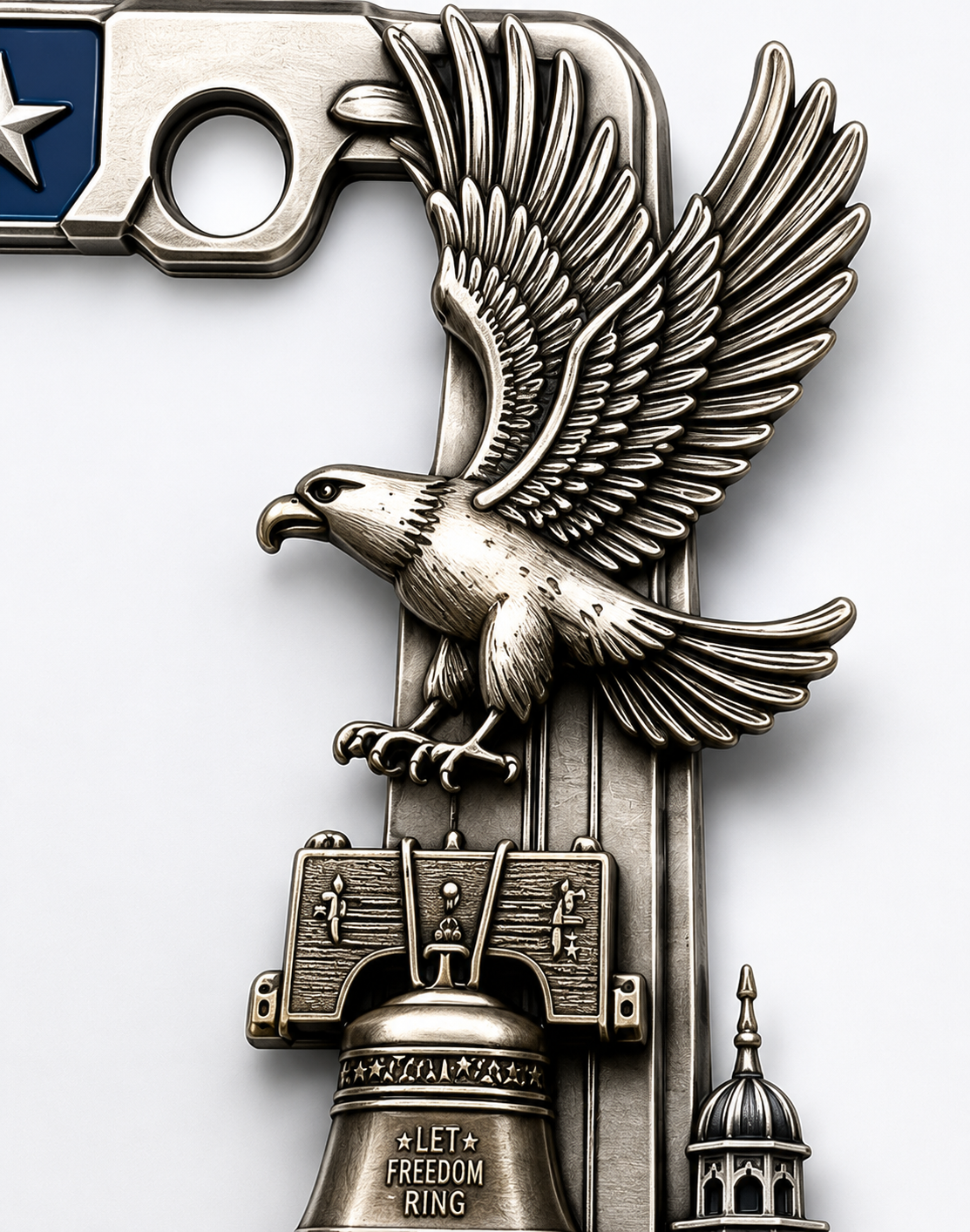 Bald eagle detail