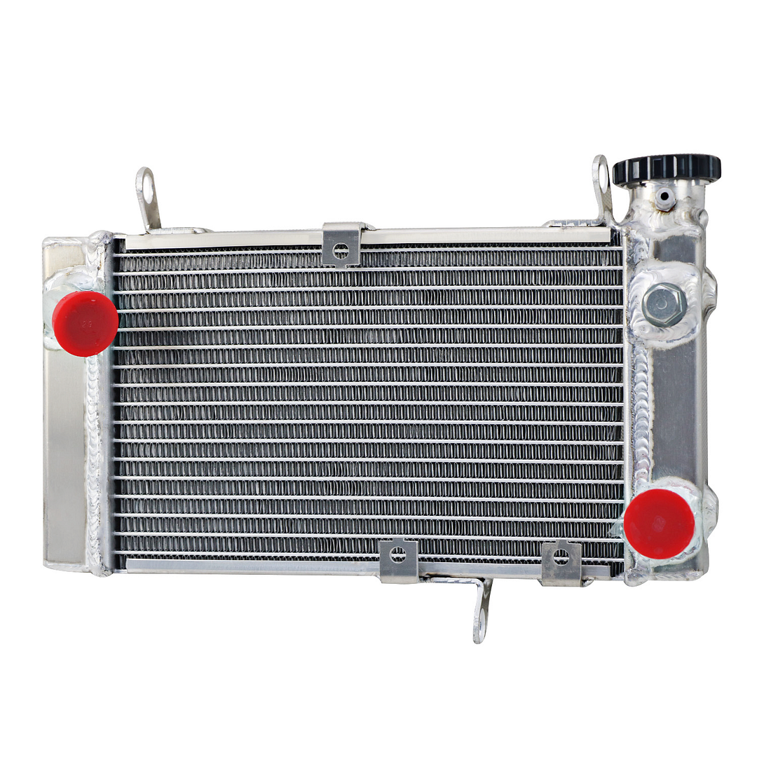 Alloyworks Suzuki Aluminum Radiator For 1999-2002 SV650 SV650S
