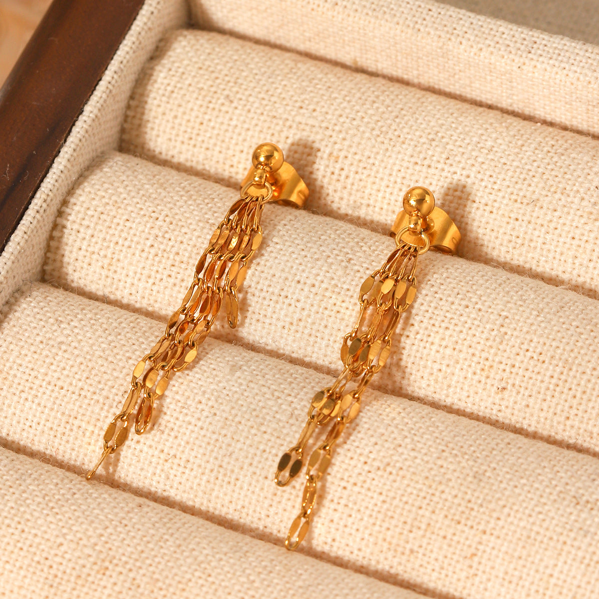 Stainless Steel Lip Chain Tassel Earrings Titanium Steel Earrings Jewelry