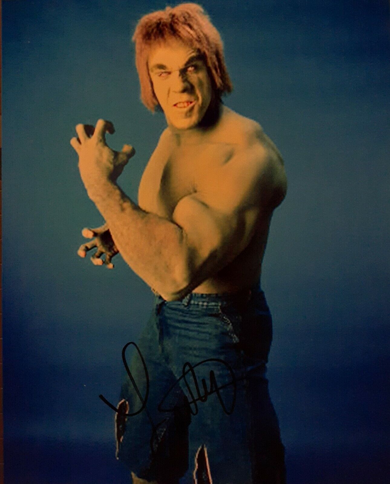 Lou Ferrigno signed 8x10