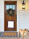 Cat Flap Door with 4 Way Security Lock Cat Dogs Flap Doors Cat Puppy Safety Gate