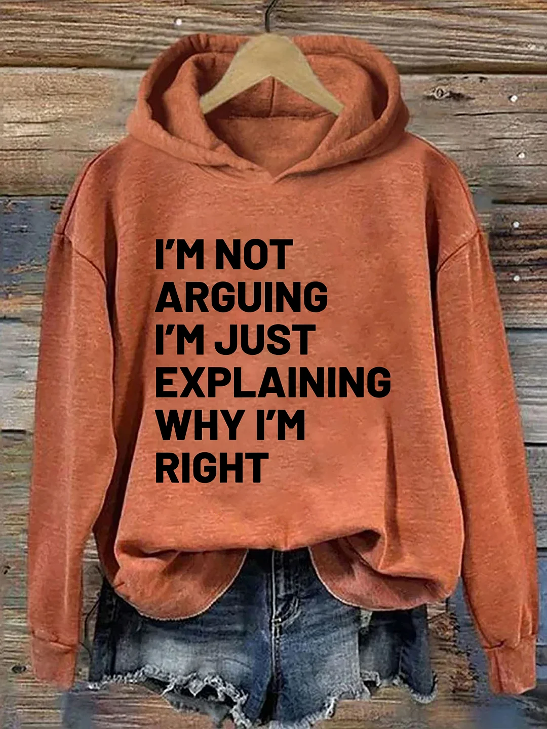 Not Arguing I'm Just Explaining Why I'm Right Hoodie