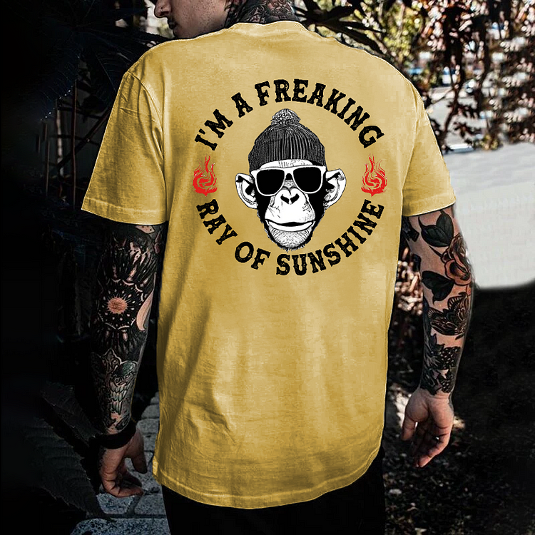 I'm A Freaking Ray Of Sunshine T-shirt