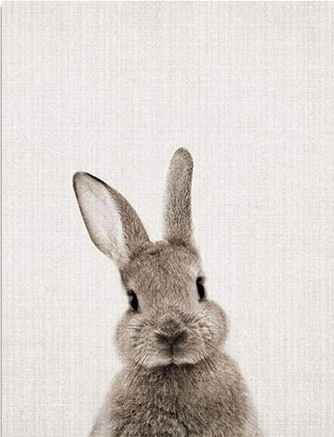 

Grey Rabbit – Paint By Numbers - 40*50CM, 501 Original