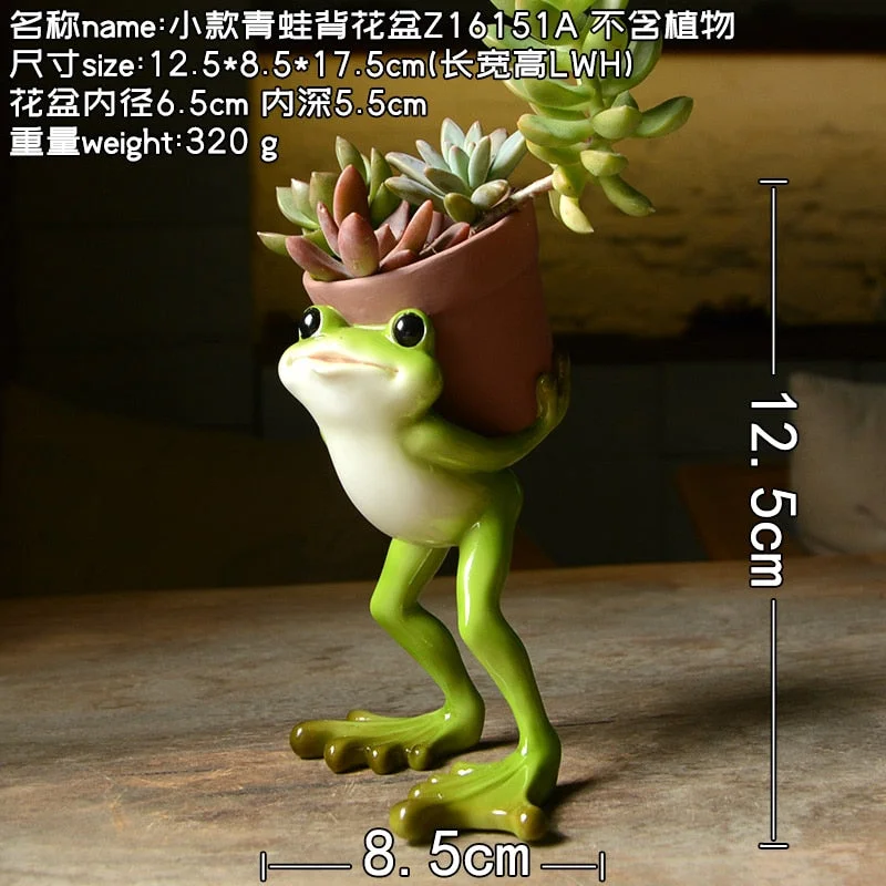 Creative Clay Pots with Frog Ornament Succulent Pot Plant Pot Cactus Planter Pots Nursery Pot Garden Pot Home Decoration
