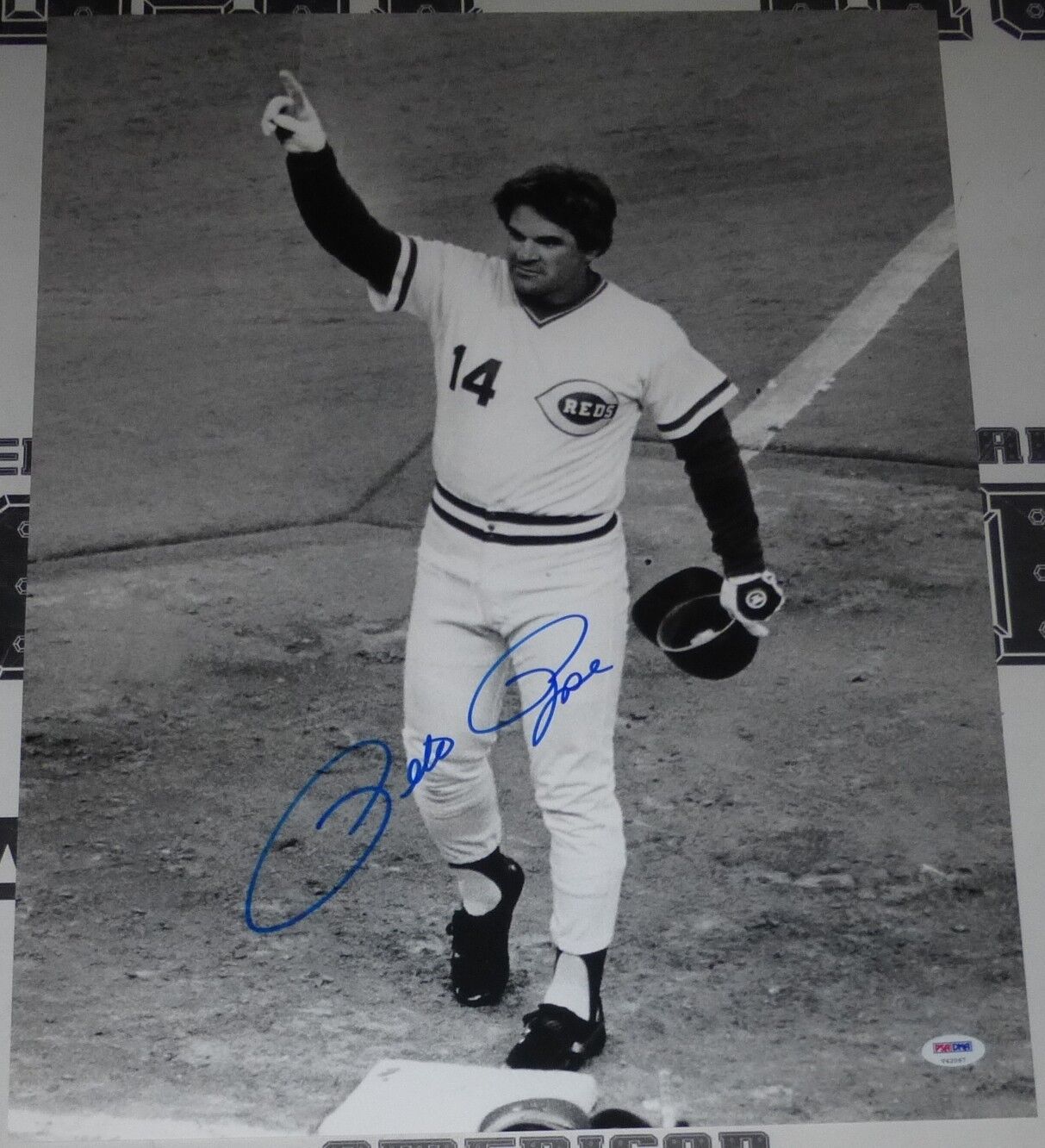 Pete Rose Signed Signed Reds 16x20 Photo Poster painting PSA/DNA COA Hit #4192 Picture Autograph