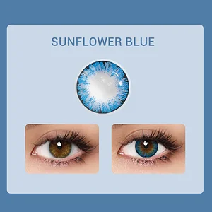 Sunflower Blue