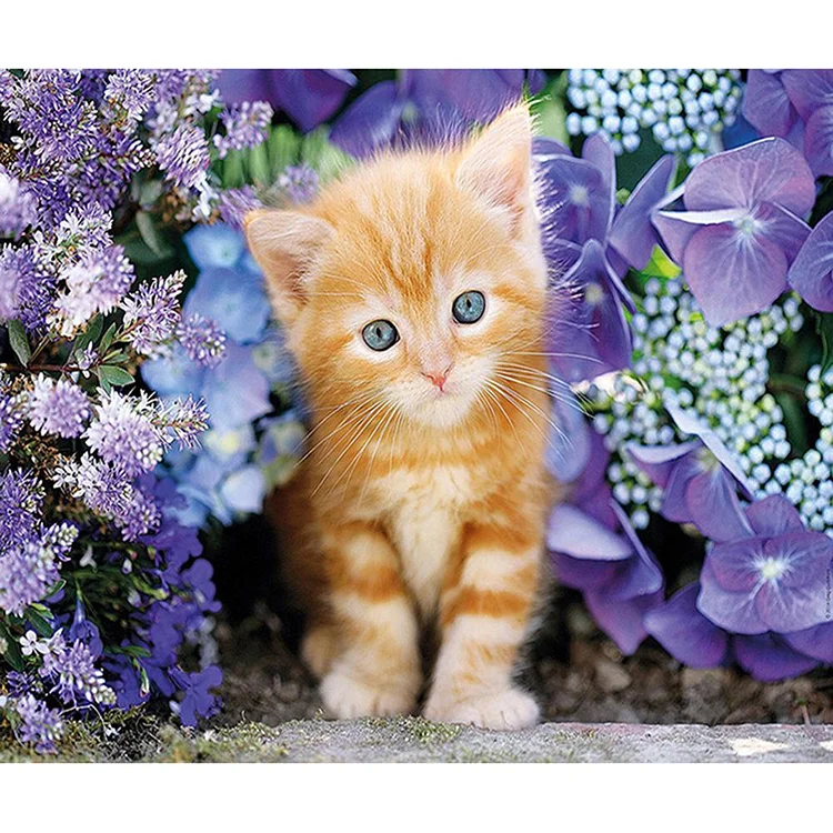Lovely Cat Round Full Drill Diamond Painting 40X30CM(Canvas) gbfke