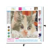 Cute Cat  | Full Round Diamond Painting Kits