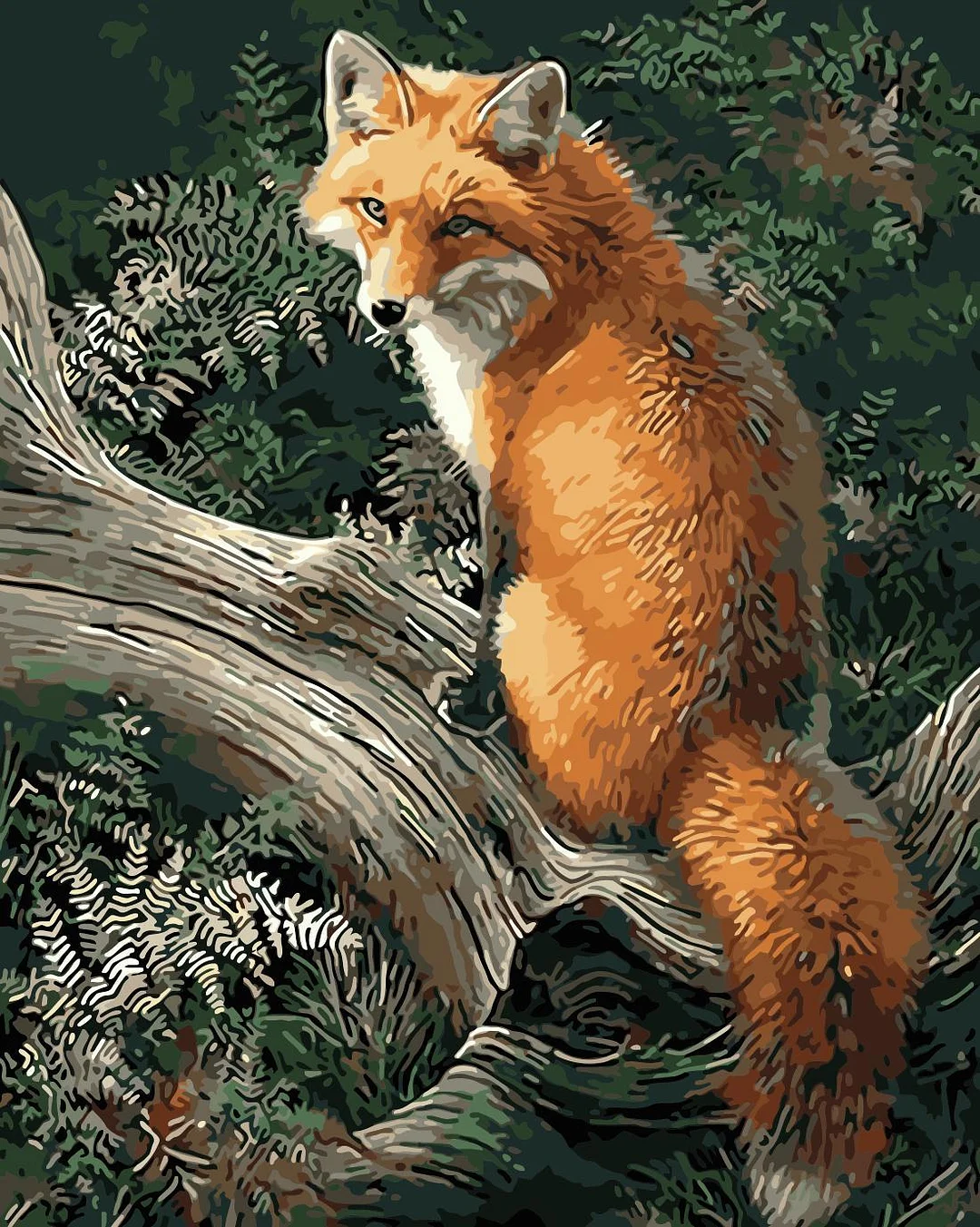 Animal Fox Paint By Numbers Kits UK For Adult HQD1247