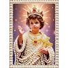 Diamond Painting-DIY Special Shaped Drill Pearl Painting Bible(30x40cm)