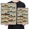 Native Trout - Vintage Metal Signs - 20*30cm/30*40cm