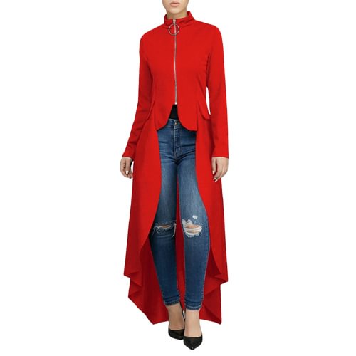 Jyccr Women Zipper Long Sleeve Plus Size Dress Maxi Tunic Loose Ladies Autumn Stylish Elegant Long Sleeve High Low Tunic AM0285 - BlackFridayBuys