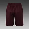 2025/2026 Ajax pre-match training Deep Red Shirt+Shorts 1:1 Thai Quality