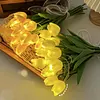 Twinkling Tree Tulips