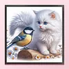 Pussycat And Robin-11CT Stamped Cross Stitch 40*40cm/15.75*15.75in tapestrymarket