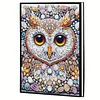 2pcs Owl Partial DIY 50 Pages A5 Diamond Painting Notebook for Study Drawing