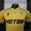 25/26 Player Version Crystal Palace Soccer Jersey Away