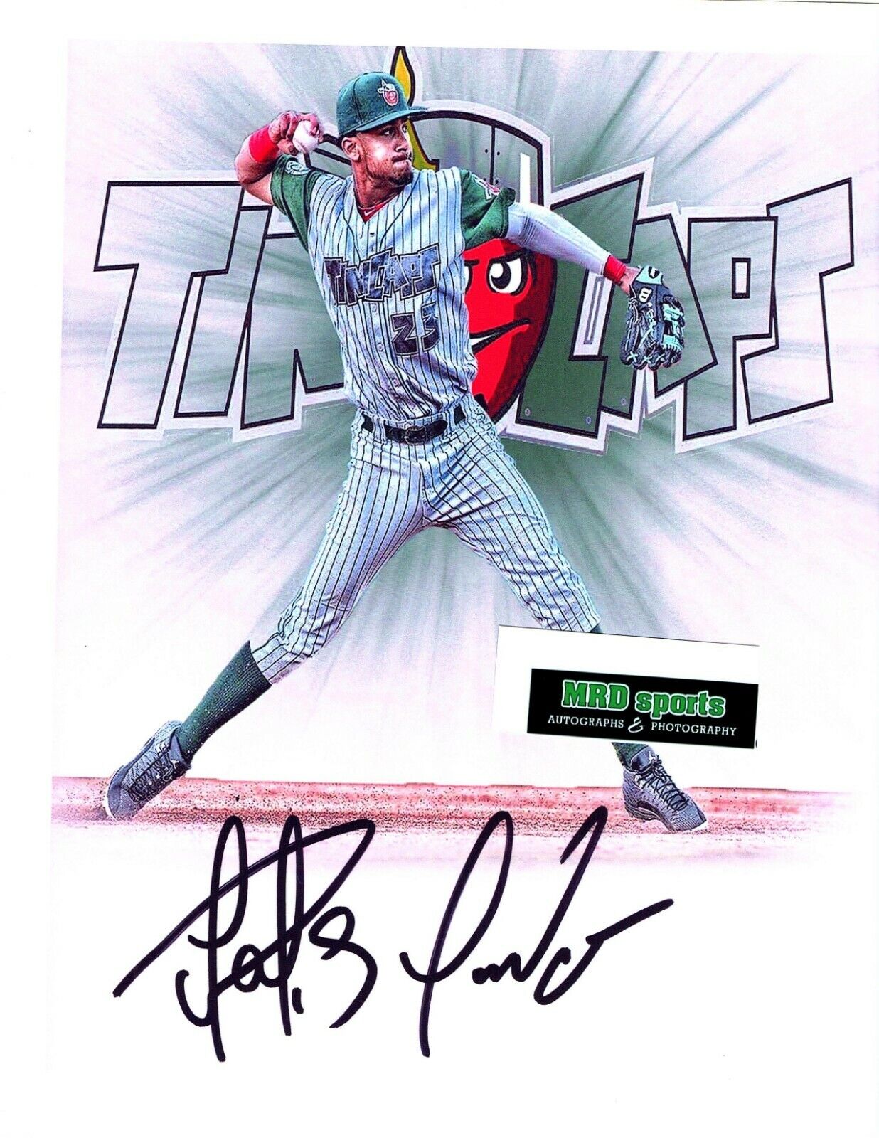 Fernando Tatis Jr San Diego Padres Tincaps reprinted 8x10 autograph signed Photo Poster painting